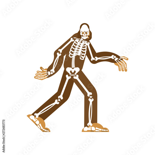 Bigfoot skeleton islated. sasquatch skull and bones. Abominable snowman. sasquatch Remains