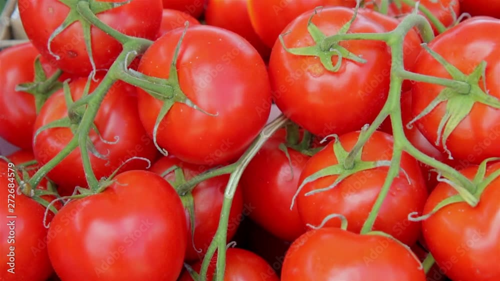 red tomatoes background. Group of tomatoes red tomatoes background. Group of tomatoes
