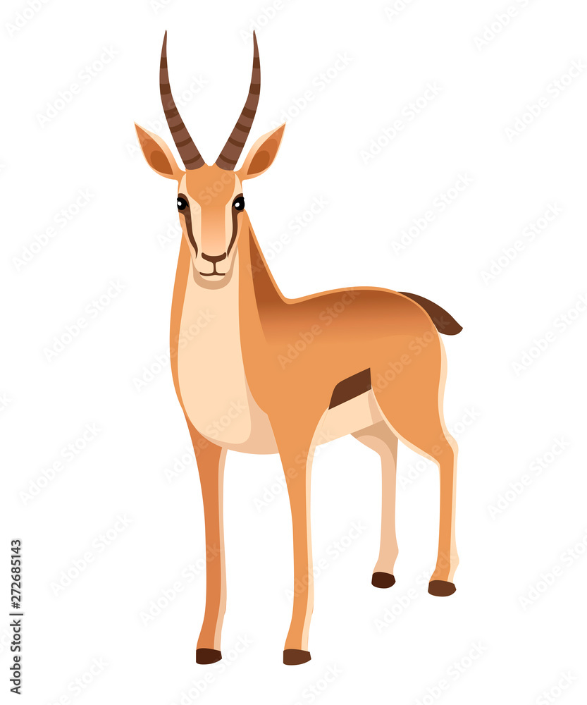 African wild black-tailed gazelle with long horns cartoon animal design  flat vector illustration on white background front view antelope Stock  Vector | Adobe Stock