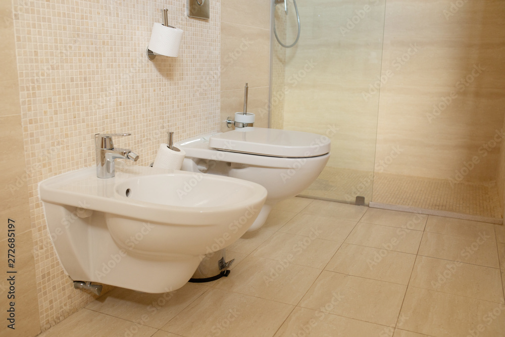Spacious bathroom with toilet, bidet and shower in brown tones. Spacious bathroom with toilet, bidet and shower in brown tones.