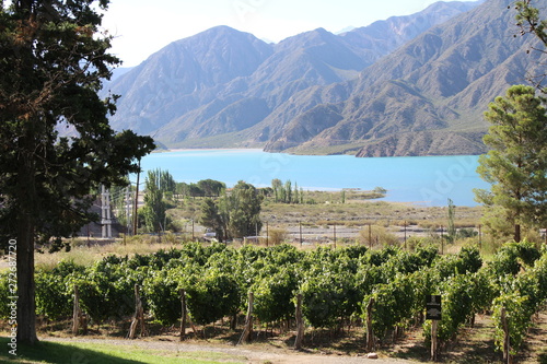 Potrerillos, Mendoza