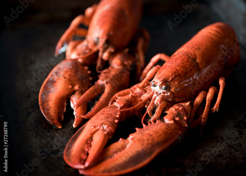 Seafood lobsters. Fresh beautiful large sea lobsters. Delicious lobster on a old table.
