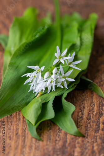 fresh bears garlic on wood