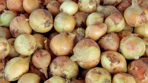 Fresh young onions in the market