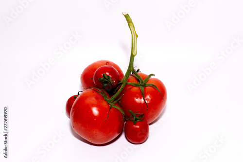 tomatoes isolated on white background