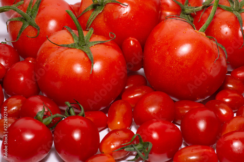 tomatoes on the vine