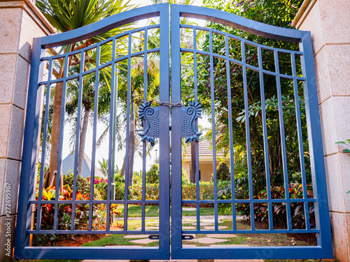 Photography Antique steel blue double gate with padlock in front of a tropical garden