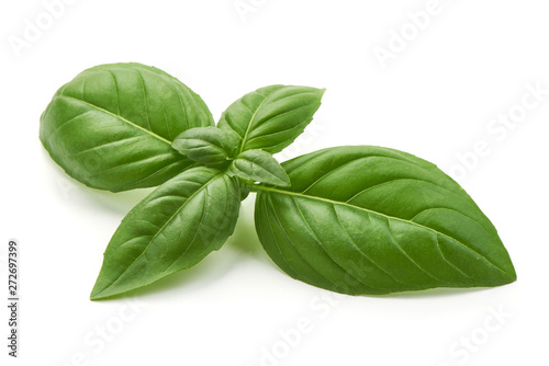 Sweet basil leaves, close-up, isolated on white background