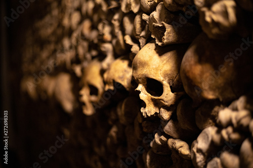 Skulls of the catacombs photo