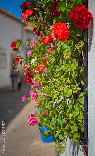 Nice patio with flowers in ...