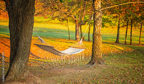 Hammock in the autumnal garden
