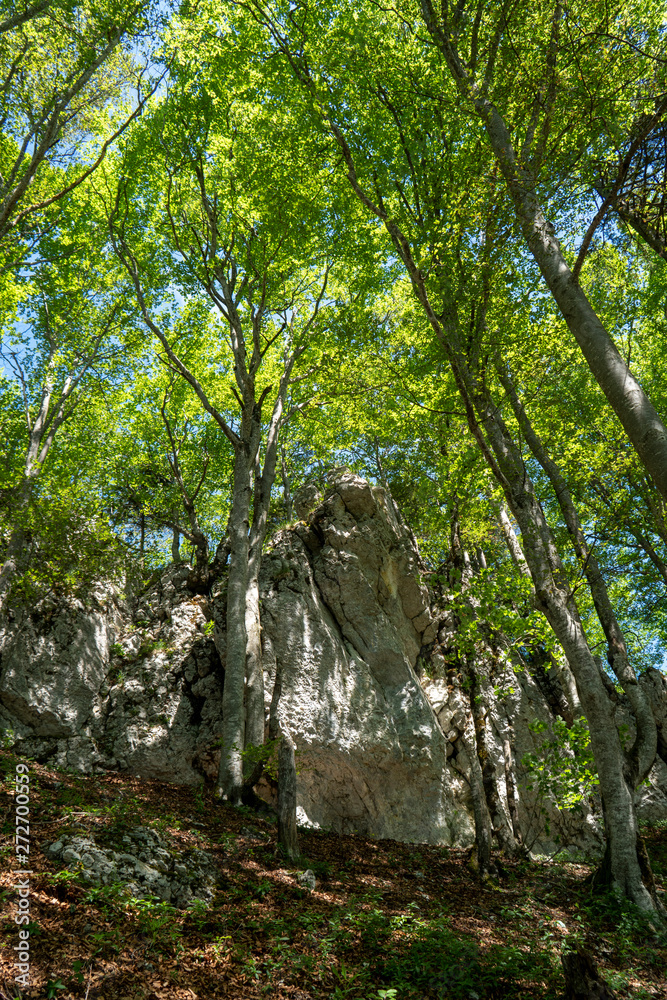 Jura, Wanderung im Frühsommer