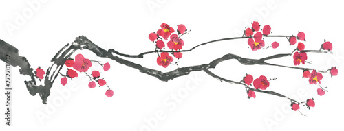 A branch of a blossoming sakura. Pink and red stylized flowers of plum mei and  wild cherry . Watercolor and ink illustration of tree in style sumi-e, go-hua,  u-sin. Oriental traditional painting. .