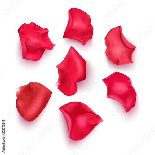 Set of pink rose petals , close-up on a white background can be used for design of romantic greetings. Vector Eps10 illustration