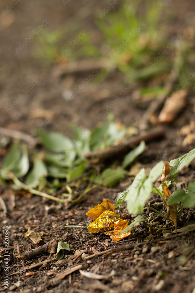 Abfall in der Natur / unnecessary waste