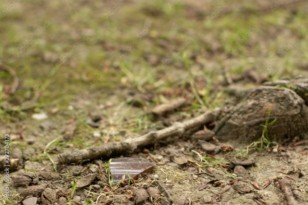 Abfall in der Natur / unnecessary waste Abfall in der Natur / unnecessary waste