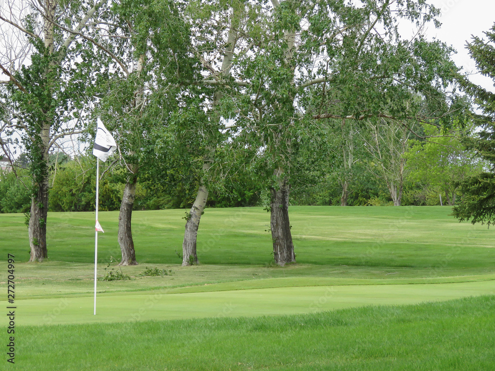 A horizontal photo of a baeutiful golf course .