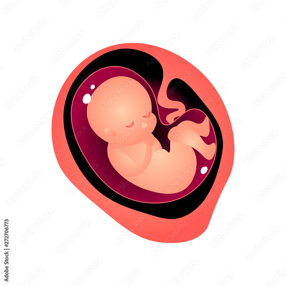 Baby dreaming in mother tummy, woman pregnancy period Baby dreaming in mother tummy, woman pregnancy period