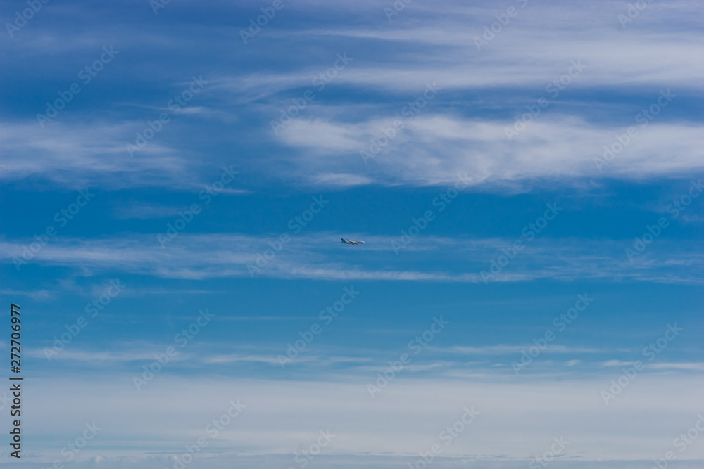 Fototapeta premium plane in the sky