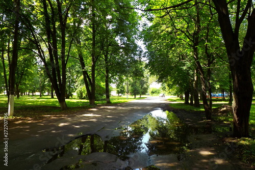 river in the park © Александр Розум
