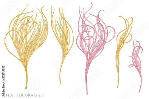 Vector set of hand drawn pastel feather grass