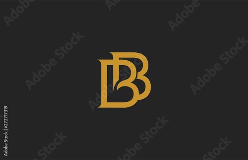Elegant BB Letter Linked Monogram Logo Design photo