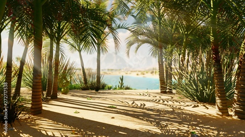 Fotografia An oasis in the desert