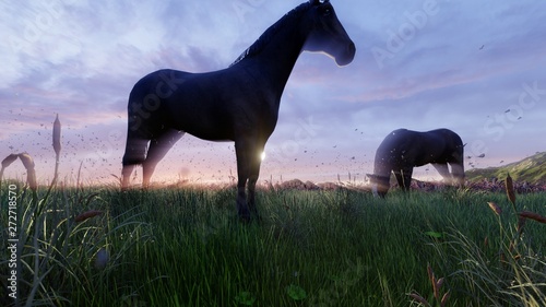 Two young horses graze on a...
