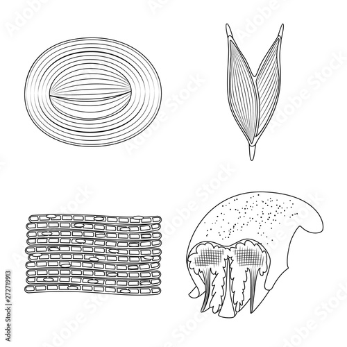 Isolated object of fiber and muscular logo. Set of fiber and body stock vector illustration.