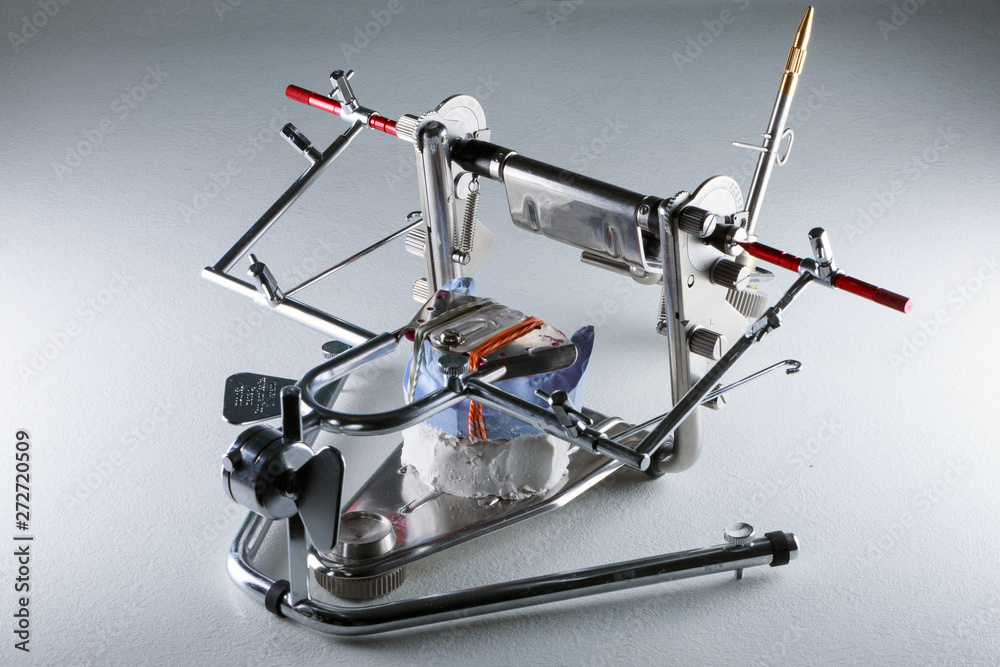 dental occluder in clear with a dental model for gypsum dental occluder in clear with a dental model for gypsum