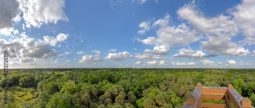Treetop Panorama with Viewing Platform in Foreground photo
