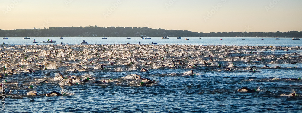 Εκτύπωση καμβά Triathlon swimmers in Lake Monona, Madison, Wisconsin