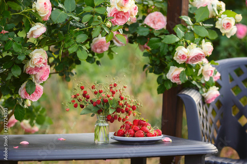 Fototapeta Naklejka Na Ścianę i Meble -  Delicious strawberries on a plate. Breakfast in the garden under a lovely french rose bush
