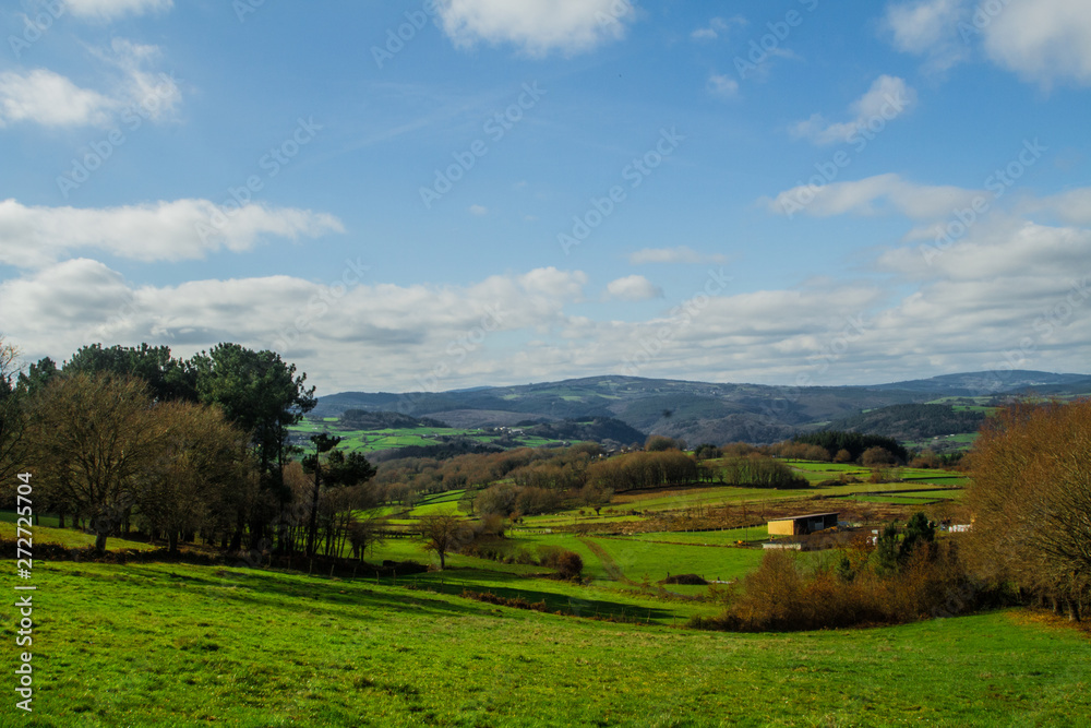 Landscape of a green field with trees background, visible clouds. Rural landscape of Galicia.