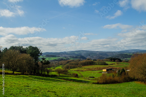Landscape of a green field with trees background, visible clouds. Rural landscape of Galicia.
