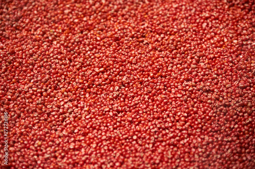 Dry red corn kernels texture background, close-up, top view