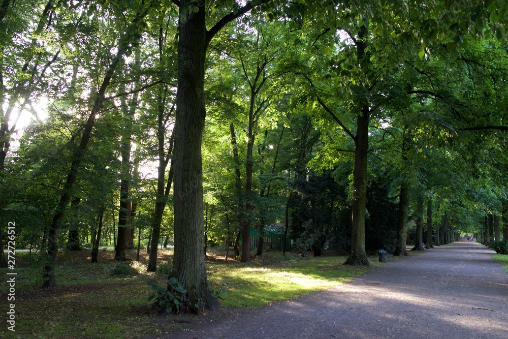 paseo veraniego por el parque