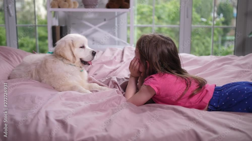 Side view of preschooler child and cute golden retriever pet lying on comfortable bed in front of each other. Elementary age girl in pajamas playing with fluffy friend touching puppy's nose and tongue Side view of preschooler child and cute golden retriever pet lying on comfortable bed in front of each other. Elementary age girl in pajamas playing with fluffy friend touching puppy's nose and tongue