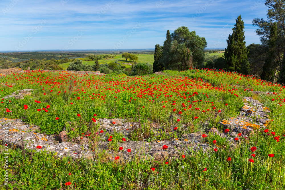 Φωτογραφία Ancient Roman town Miróbriga, Santiago do Cacem, Natural Park of Southwest Alent