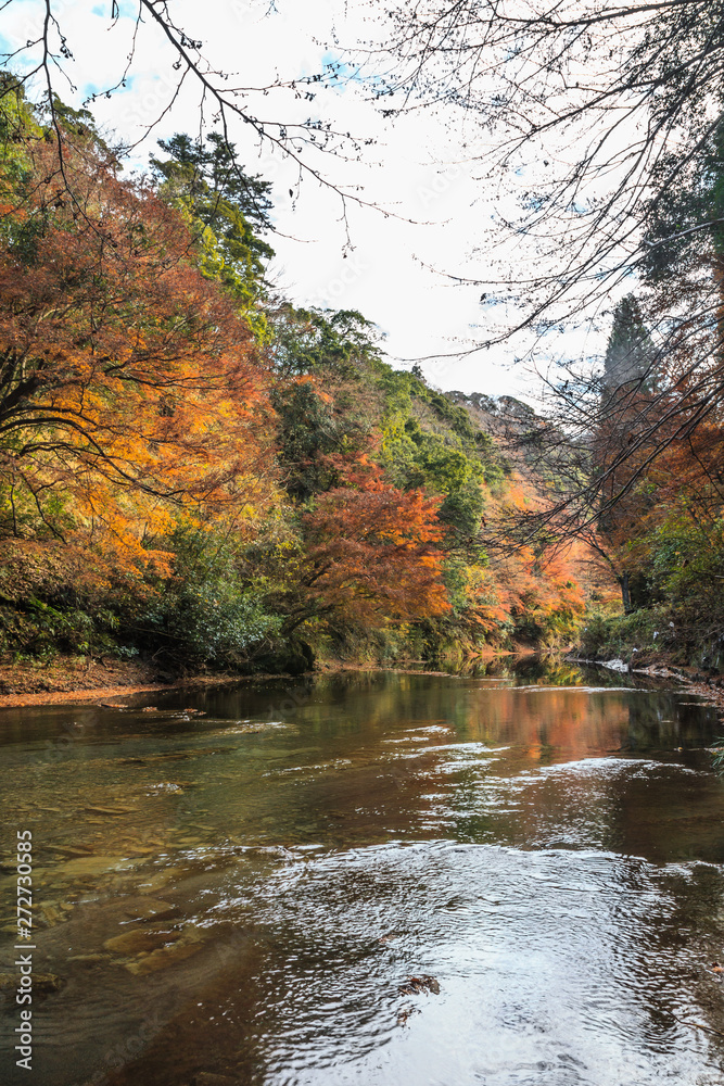 秋の養老渓谷の中瀬遊歩道の風景