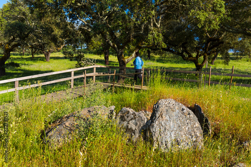 Lousal´s megalithic monument, Freguesia de Azinheira dos Barros, Concelho de Grandola, Alentejo, Portugal, Europe photo