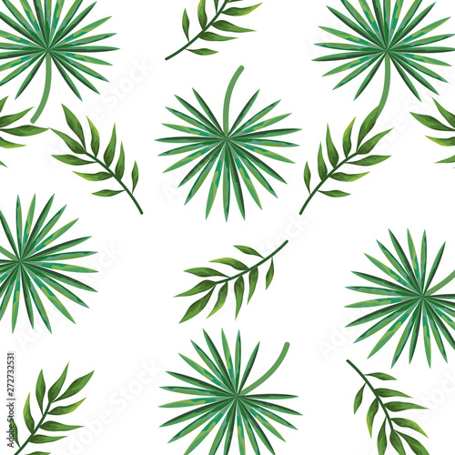Fototapeta Naklejka Na Ścianę i Meble -  exotic and tropical leafs plant pattern