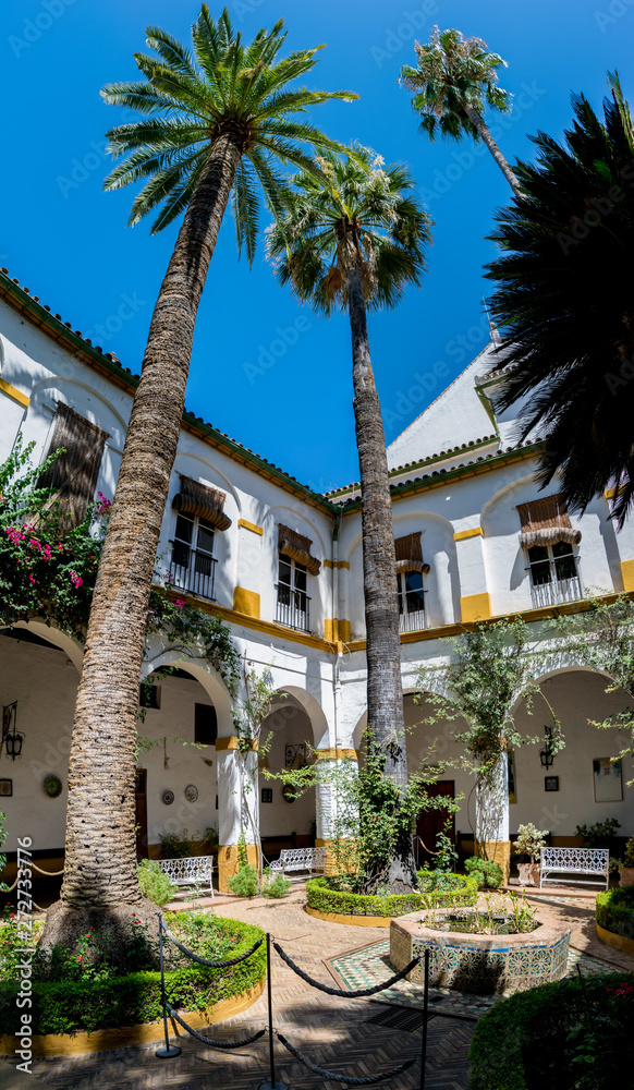 Southern Spanish patio with palm trees and a garden