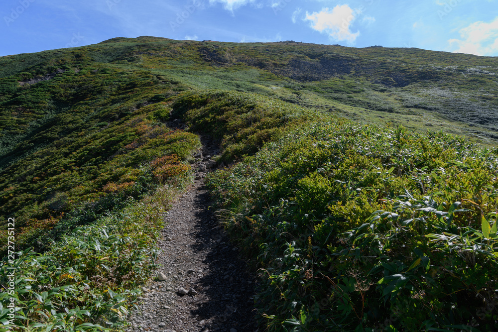Fototapeta premium 月山山頂に向かう登山道