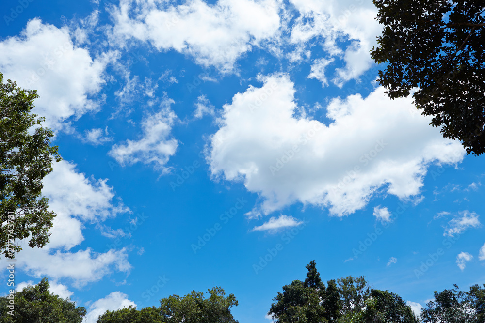 Obraz premium Clouds in the sky, trees background