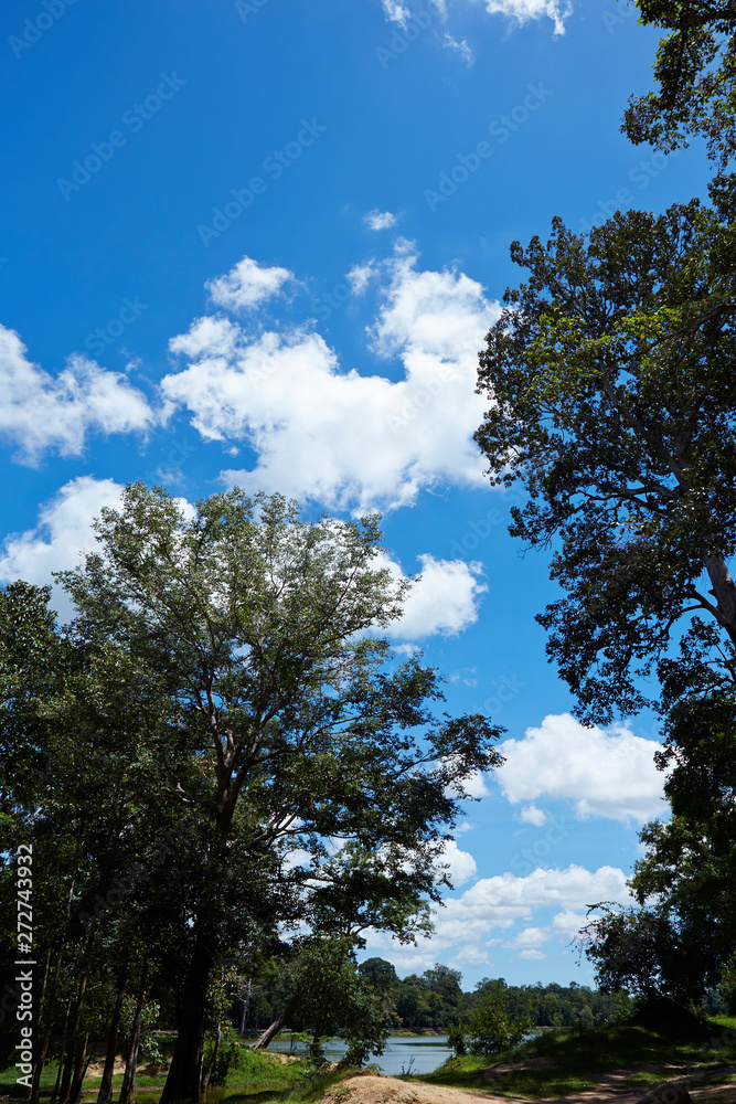 Clouds in the sky, trees background Clouds in the sky, trees background