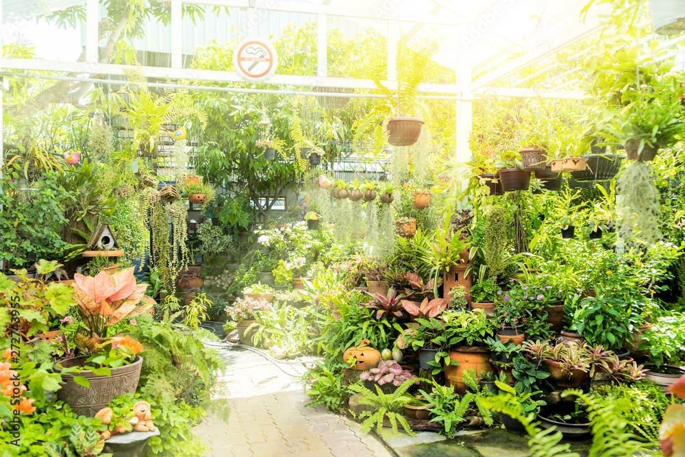 Gardens with a large variety of plants provide a relaxing feeling when seen. Gardens with a large variety of plants provide a relaxing feeling when seen.