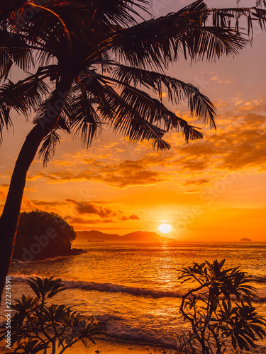 Coconut palm and sunrise at tropical beach with sea