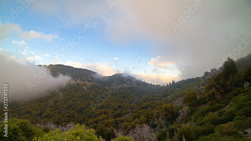 Landscapes off the Angeles crest highway a few miles from los angeless