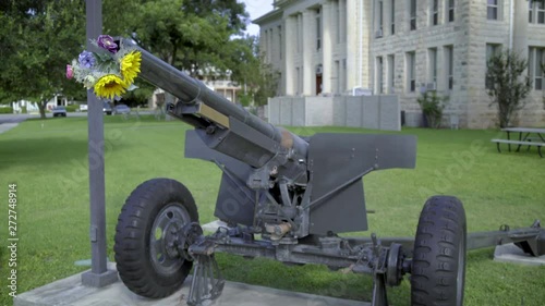 flowers in a cannon barrel protesting war photo